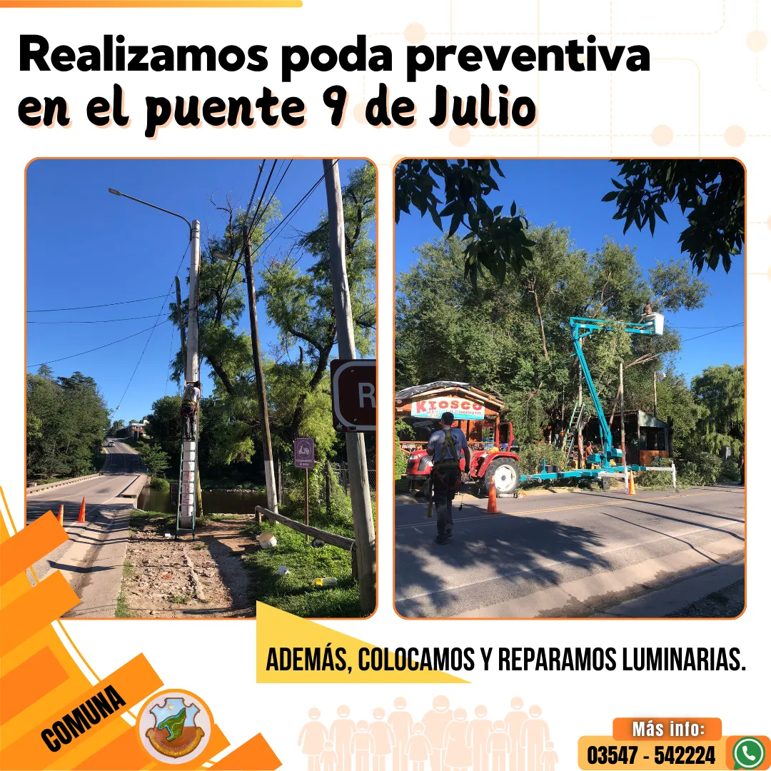 CVLB - La Comuna - FEED - Poda preventiva - 30-01-2025