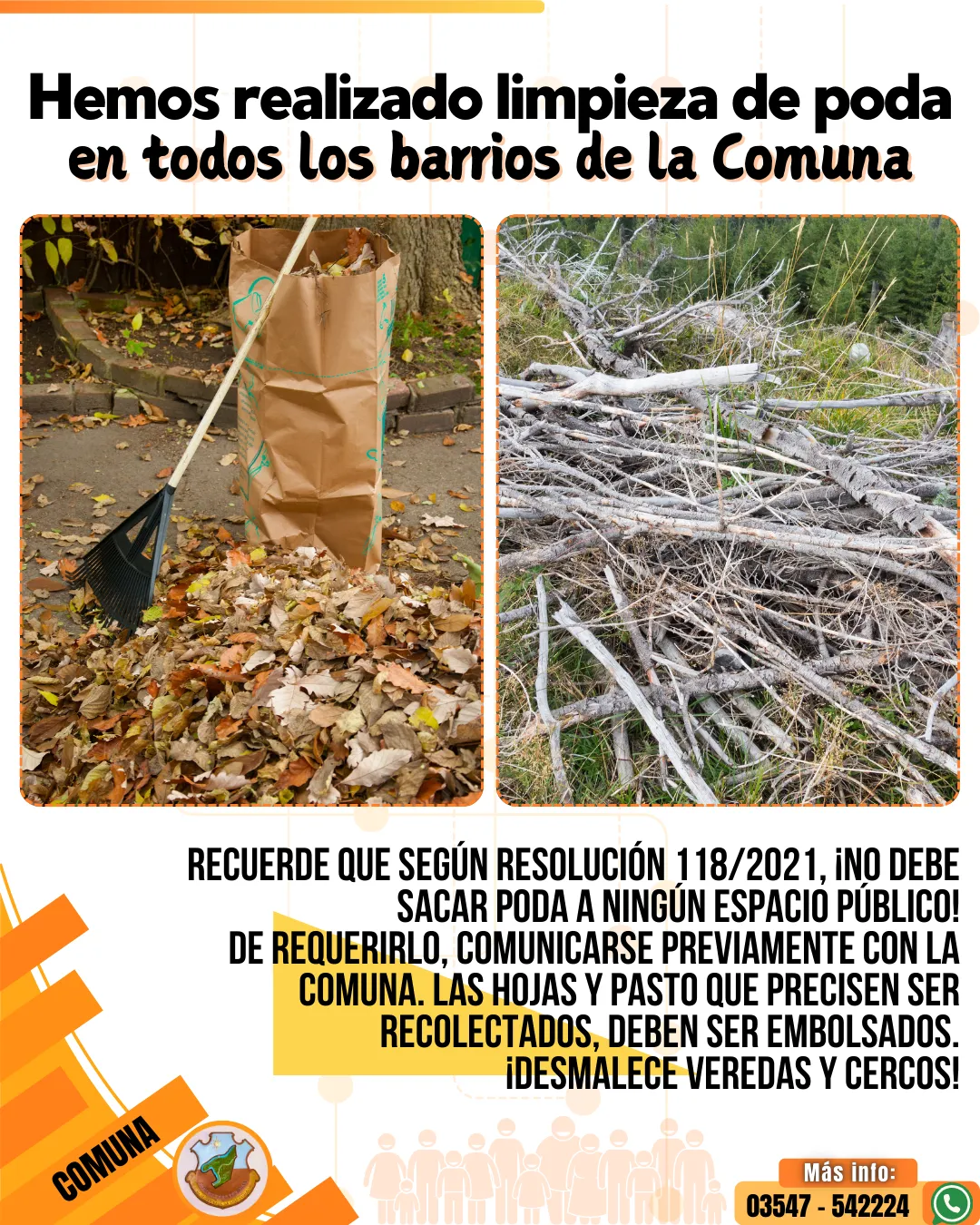 CVLB - La Comuna - FEED - Poda y hojas - 16-02-2025